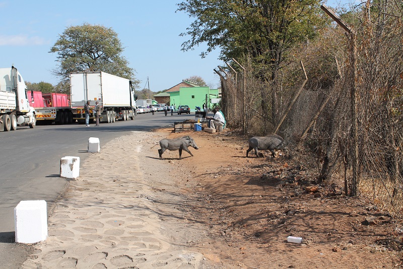 Prasatá Bradavičnaté na hraniciach medzi Zambiou a Zimbabwe