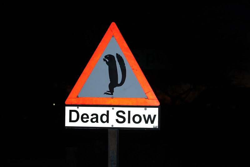 dead slow