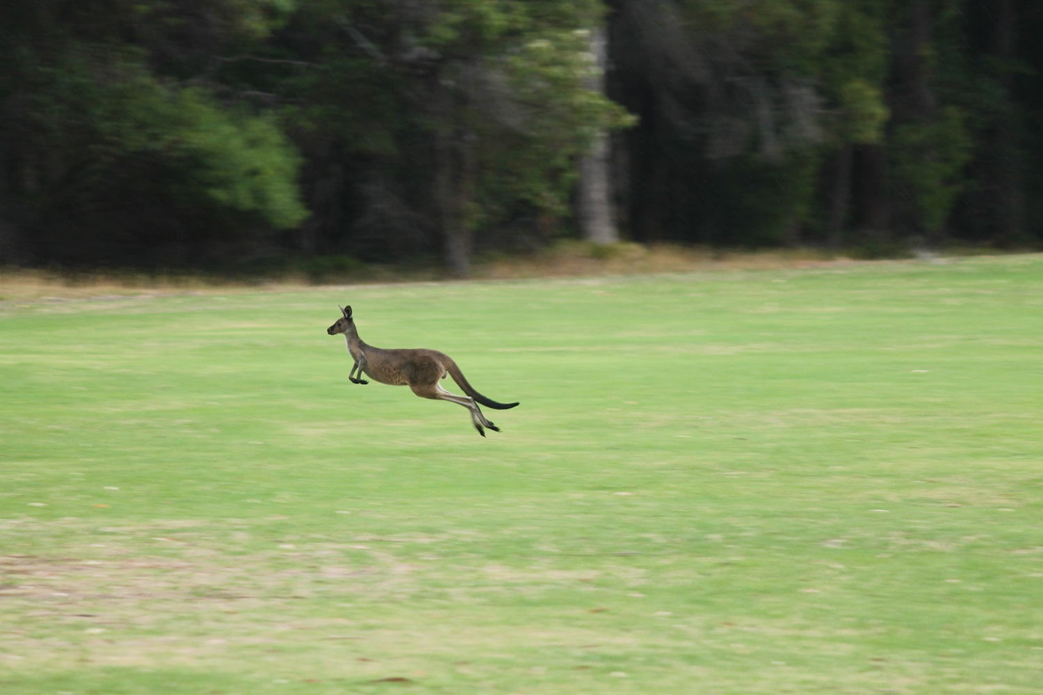 Podrobný návod na turistické víza do Austrálie