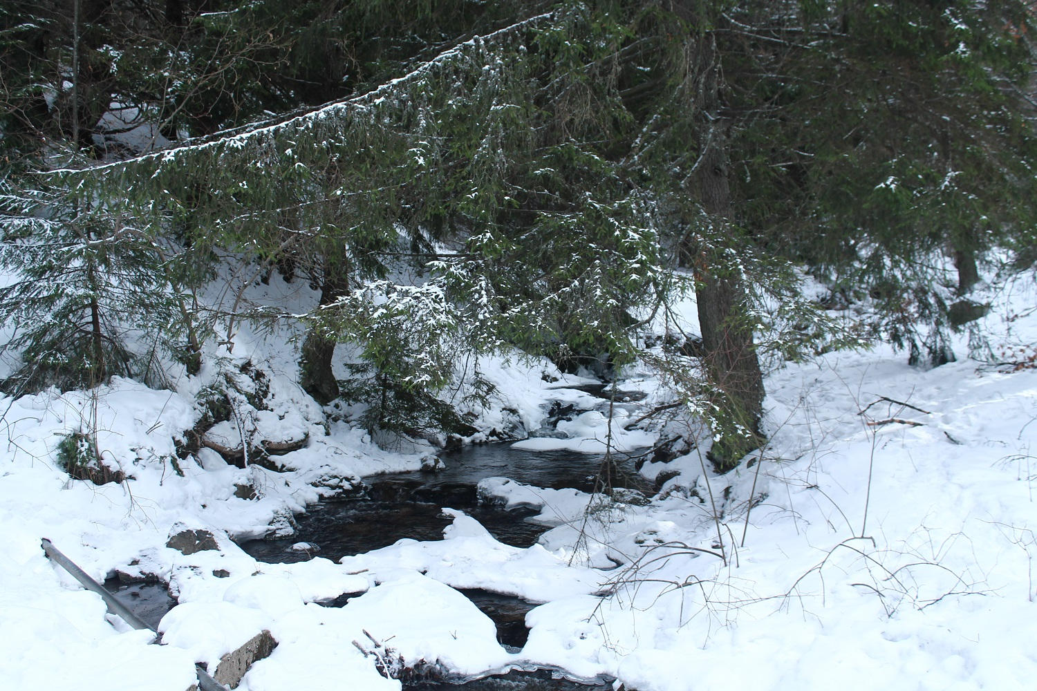 Silvestrovská turistika v Bulharskom národnom parku Vitosha