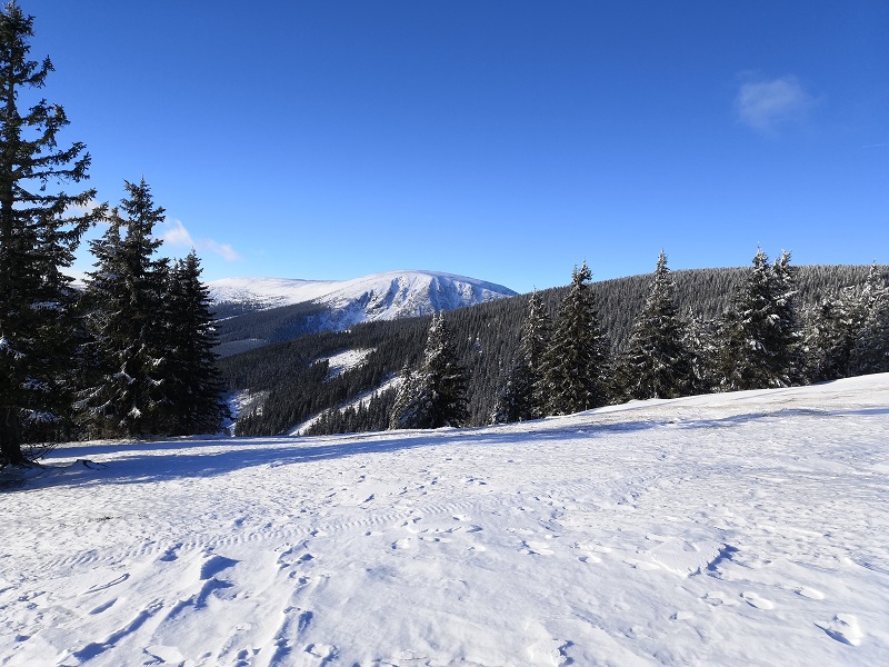 Zasnežené Krkonoše