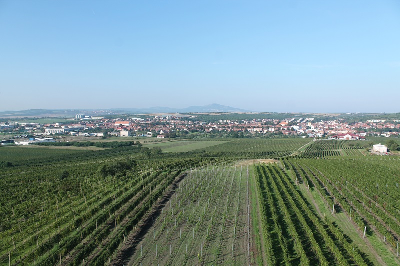 Výhľad z rozhľadne