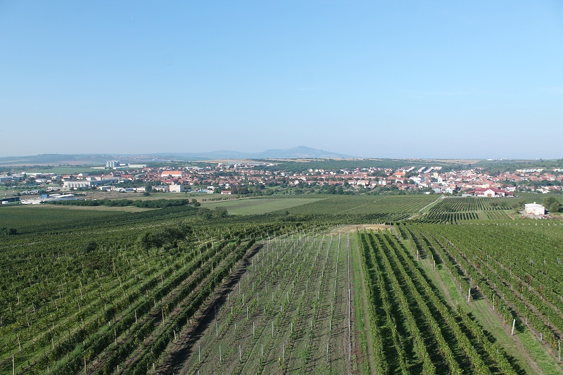 Výhľad z rozhľadne