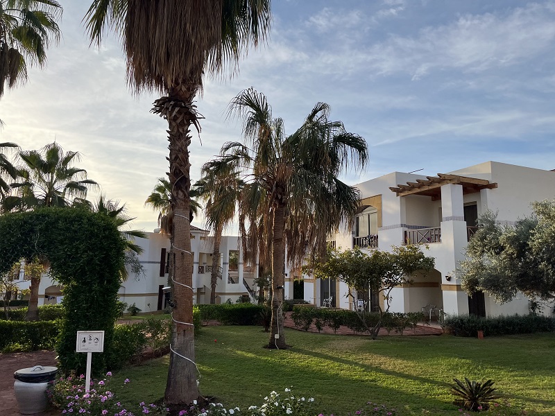 Pekné palmy a trávniky okolo hotelových izieb