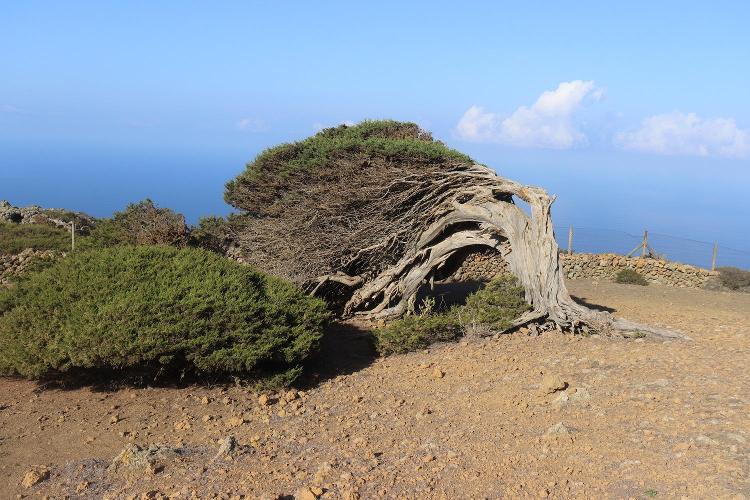 El Hierro: čo nevynechať v západnej časti ostrova