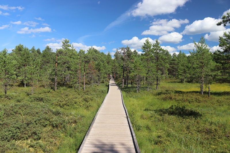 Riisa Trail