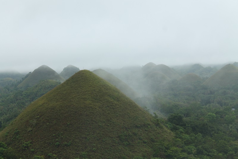 Chocolate hills