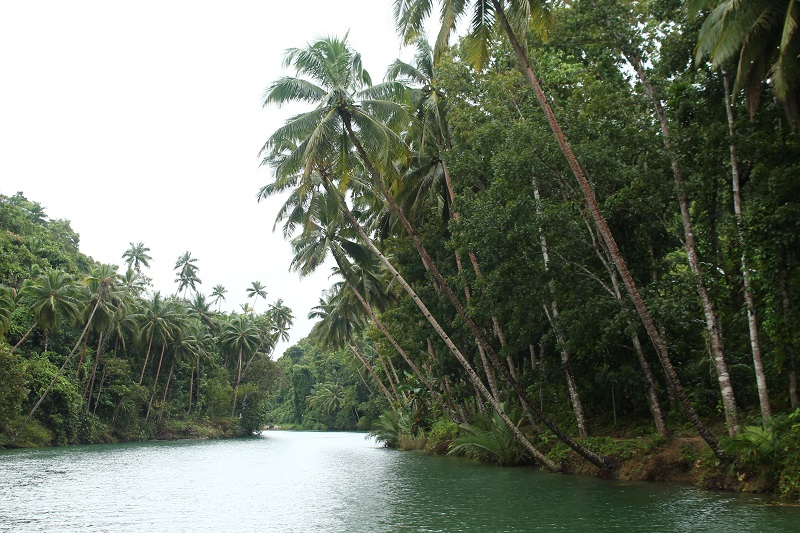 Plavba po rieke Loboc