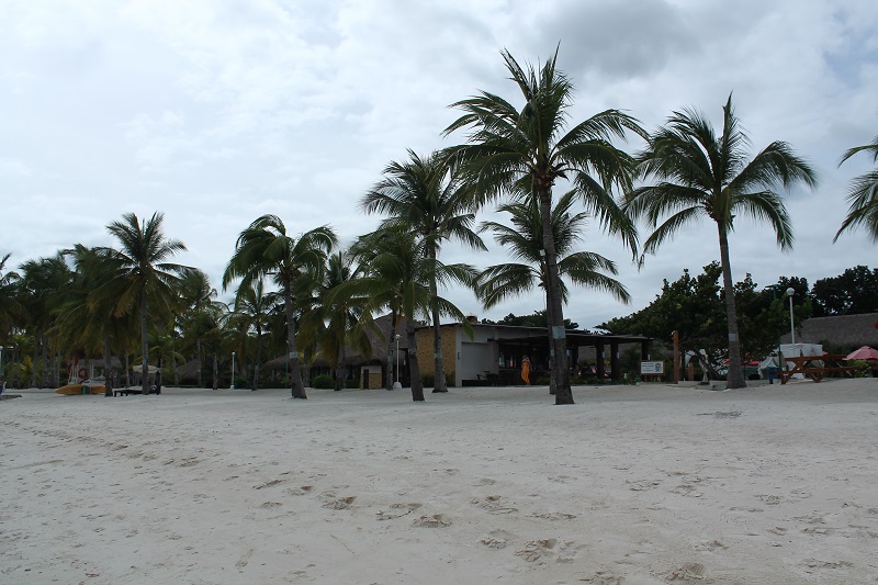 Palmy na White Beach – Bohol