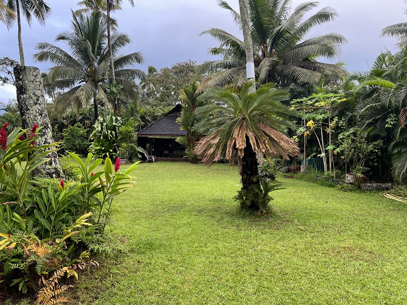 Pekná záhrada a naša chatka na Tahiti