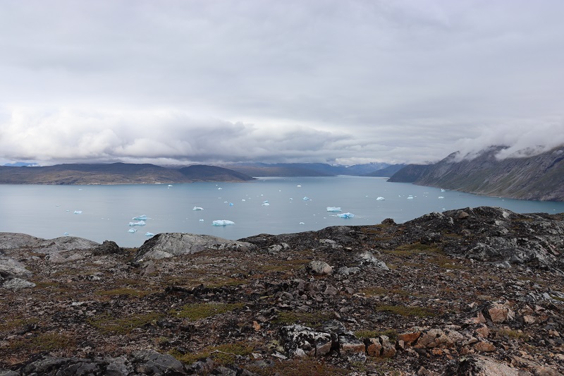 Výhľad z Plateau na plávajúce ľadovce do susedného fjordu
