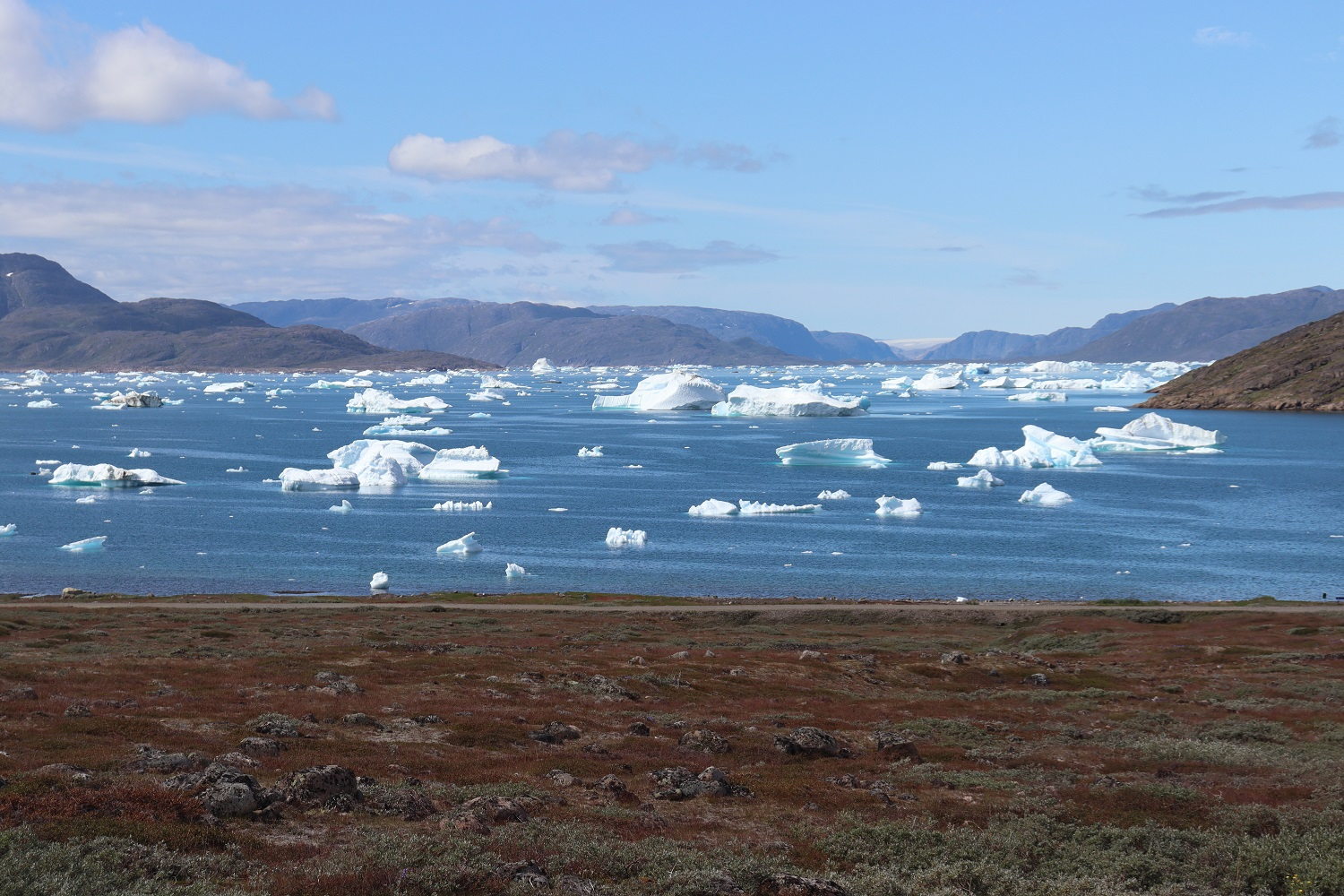 Grónsko: Narsaq a turistika v okolí