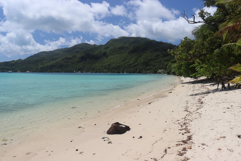 Avea beach