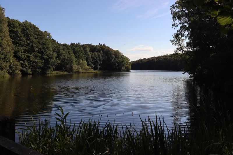 Jazierko Hammermolle dam