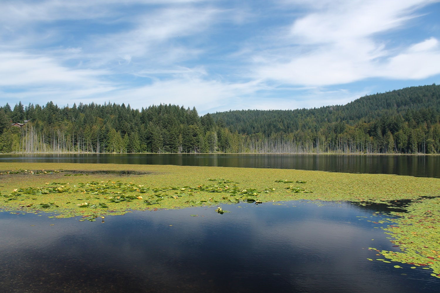 Tri tipy na výlet v okolí Vancouveru - Bowen Island, Buntzen Lake, Capilano River