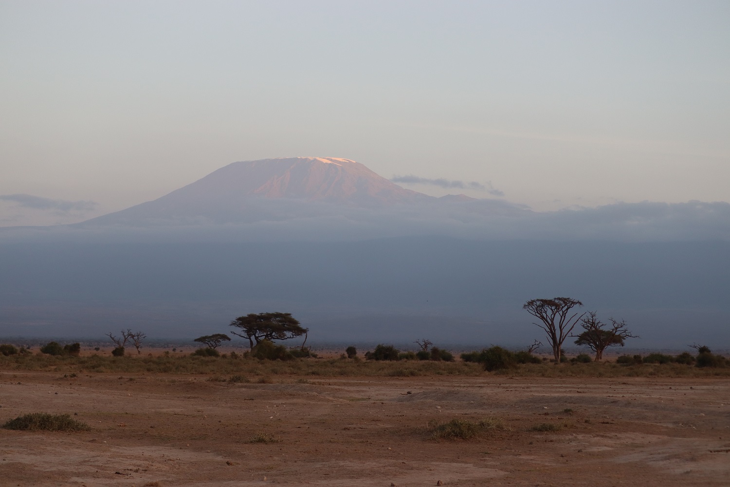 Keňa: Safari v Národnom Parku Amboseli