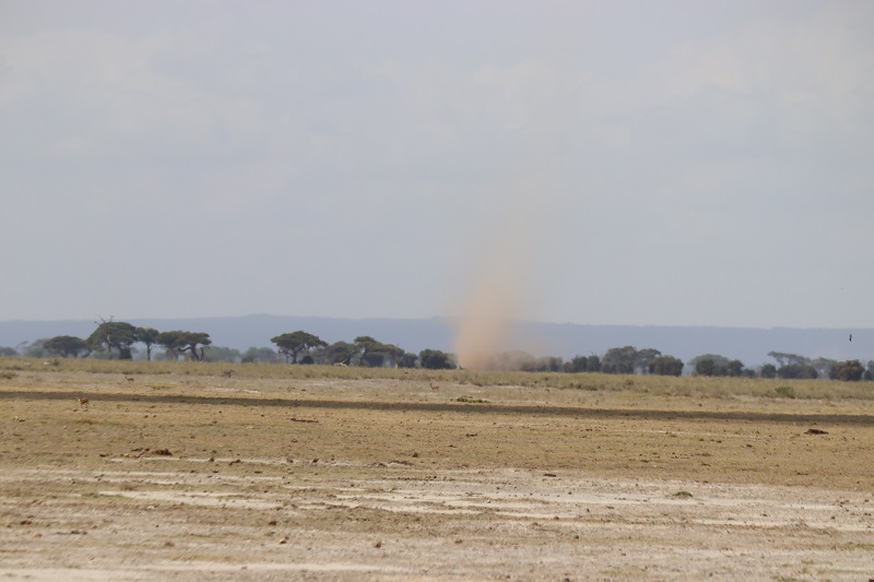 Ak sa vydáte do Amboseli, uvidíte tam veľa takýchto malých tornád. Podľa toho aj Masajovia pomenovali tento park