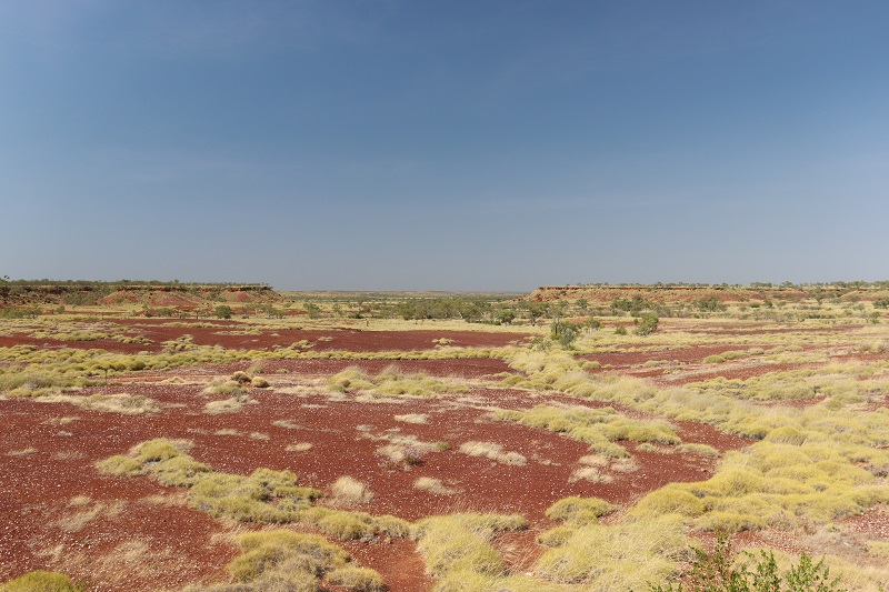 Nekonečné pláne v okolí Gibb River Road a Great Northern Highway
