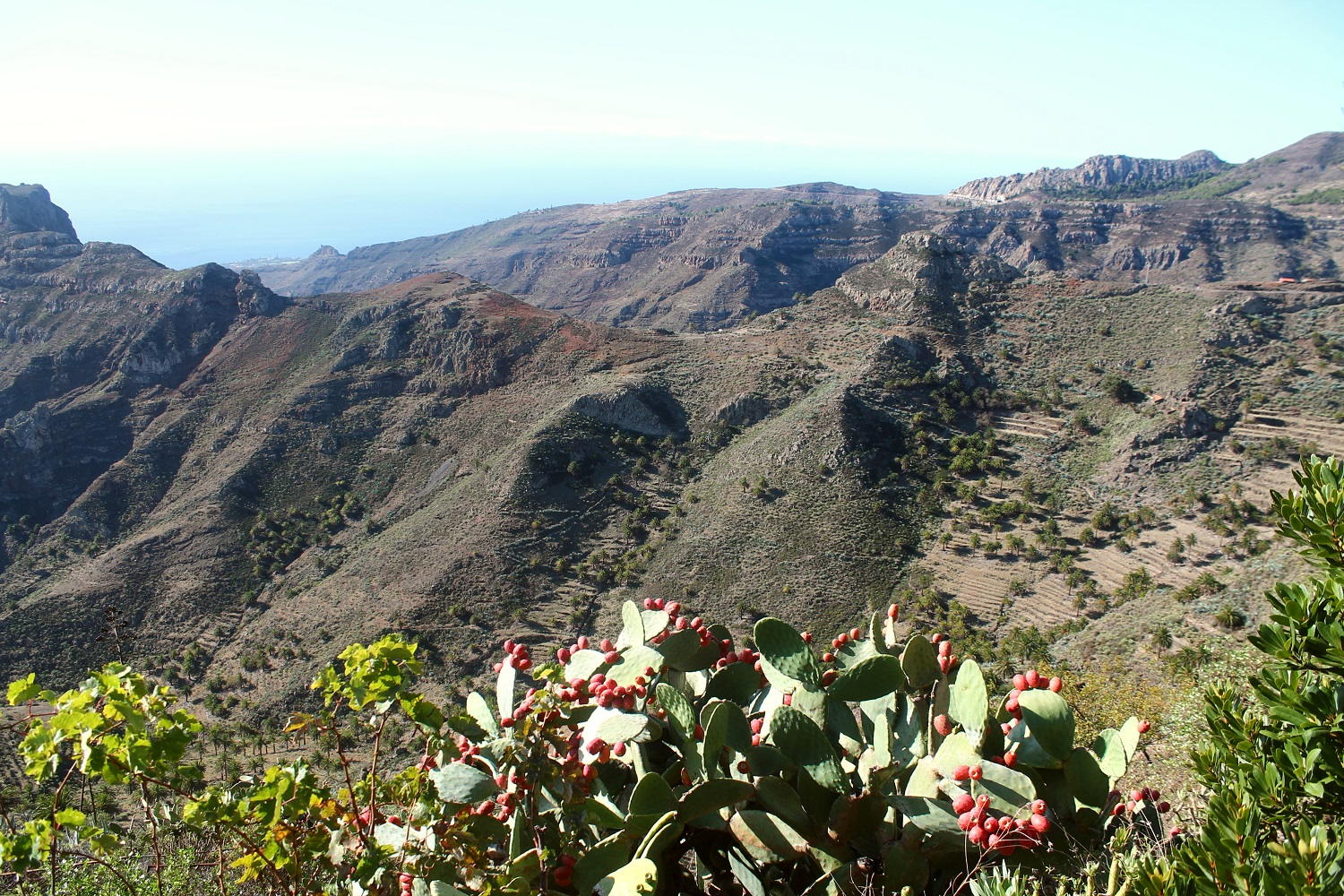 Kanárske ostrovy: La Gomera