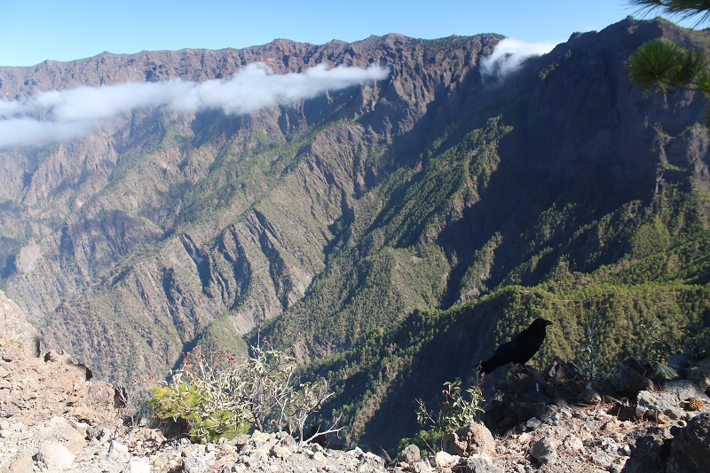 Caldera de Taburiente