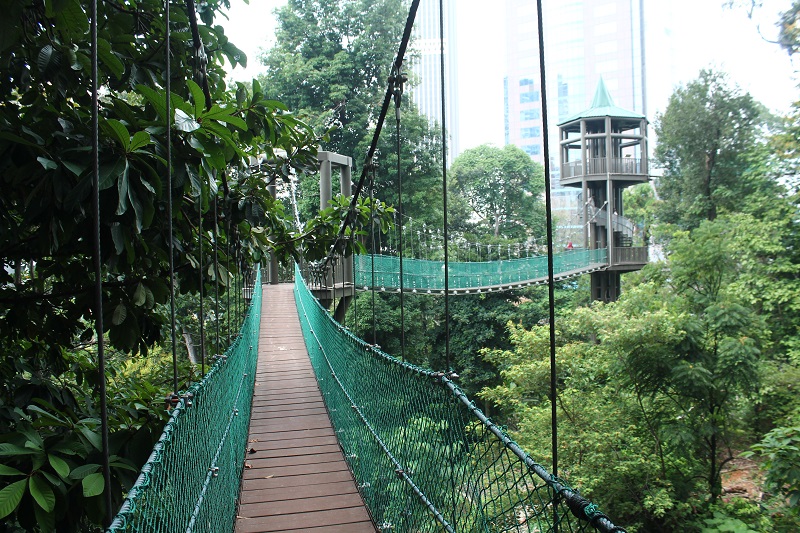 Canopy Walkway vo Forest Eco Parku