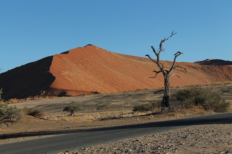 Namib Naukluft National park
