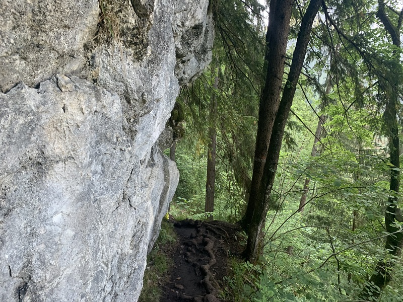 Úzky lesný chodník, ktorý vedie k vodopádom popod skalné steny