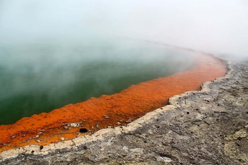 Champagne Pool