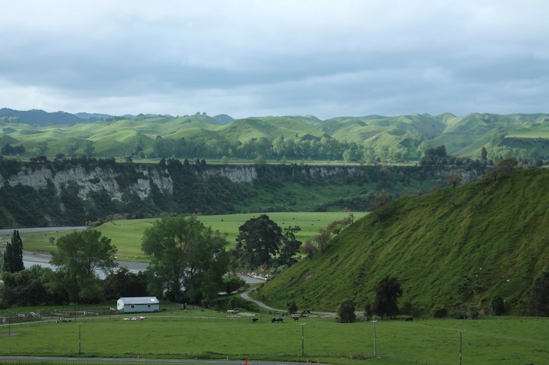 Výhľad na Papa Cliffs a údolie Rangitikei River