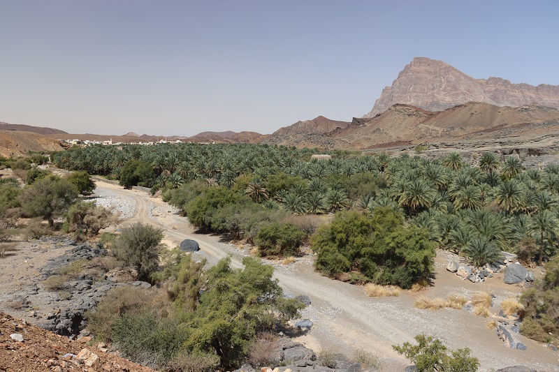 Parkujeme nad cestou do Wadi Damm
