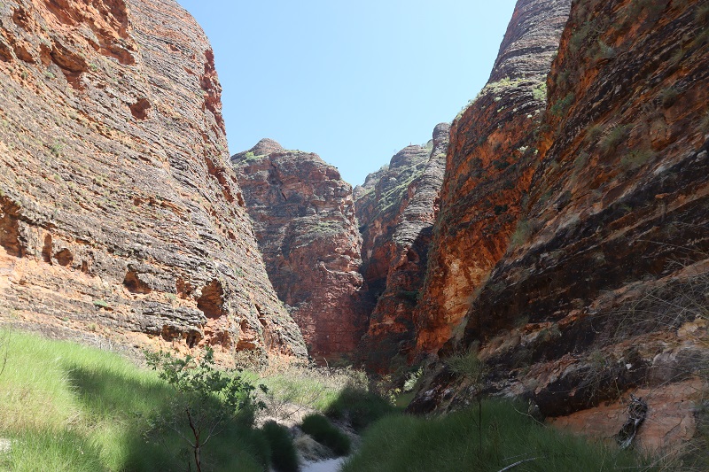 Whip Snake Gorge