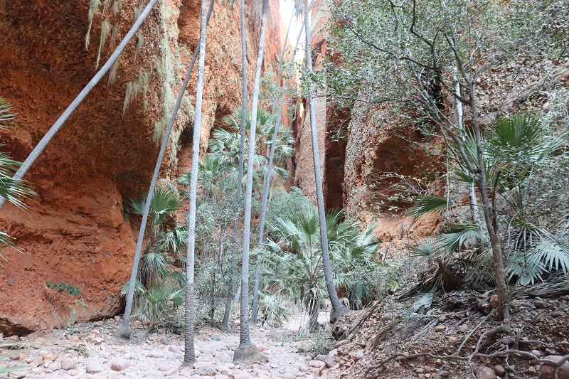 Vstup do Echidna Chasm