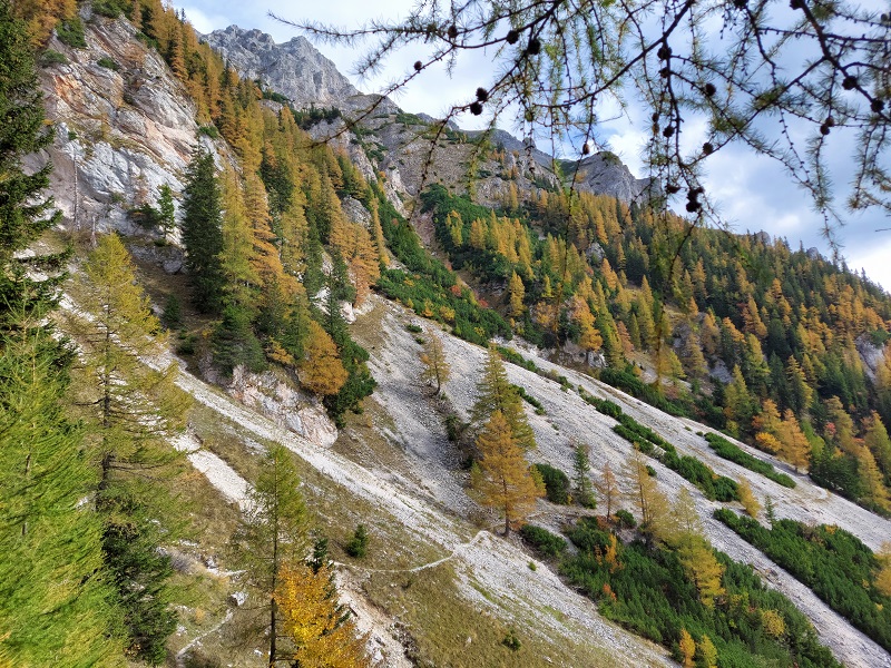 Jesenné farby cestou dole z Heukuppe