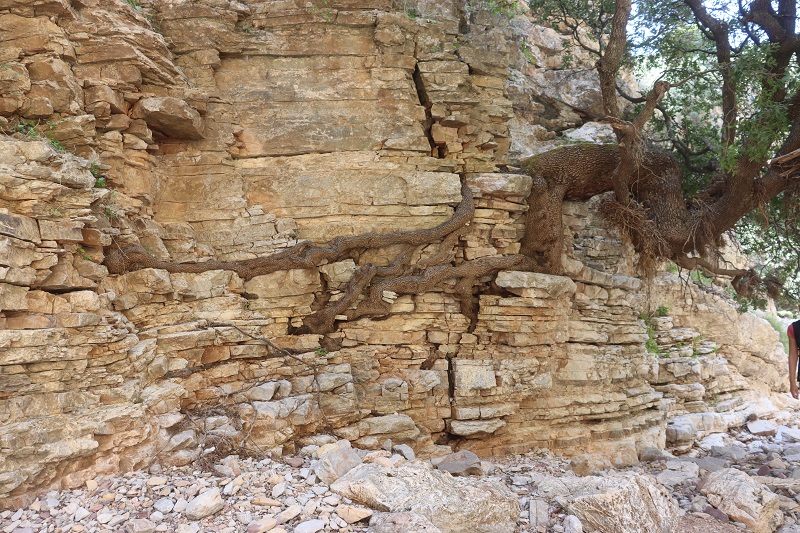 Tento úsek nám pripína chrámy v Angkor Wat v Kambodži