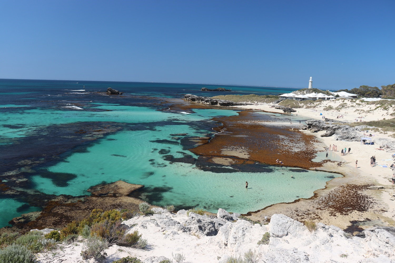 Západná Austrália, Perth: Rottnest Island