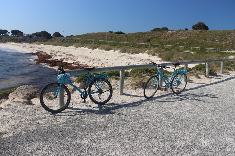 Bicykle sú najobľúbenejším dopravným prostriedkom