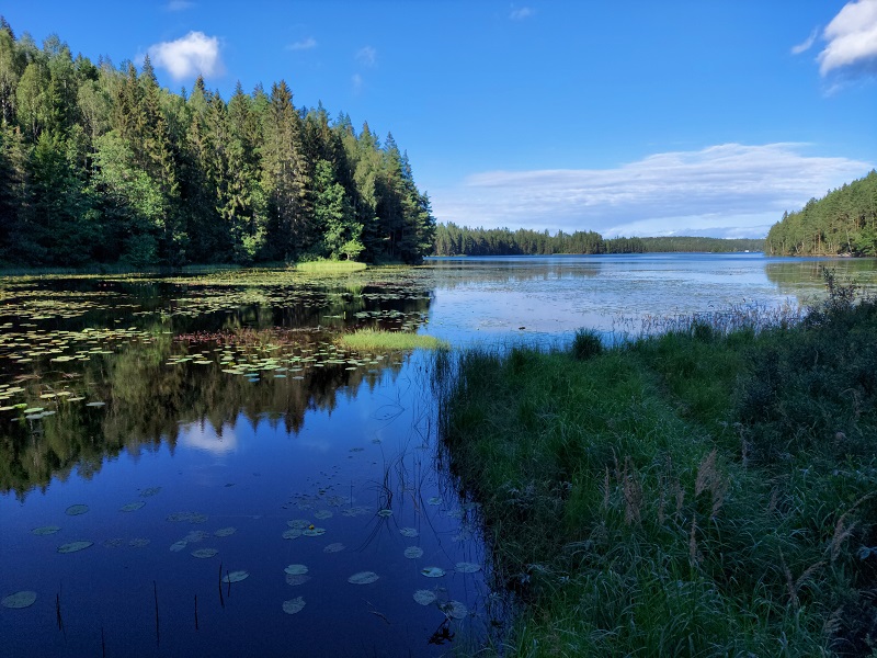 Výhľady na jazero Sävsjön