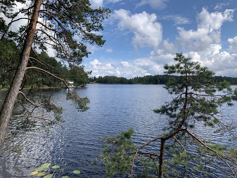 Výhľady na jazero Sävsjön
