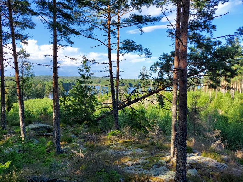 Výhľady počas túry okolo jazera Sävsjön