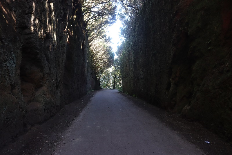 Camino Viejo al Pico de Inglés