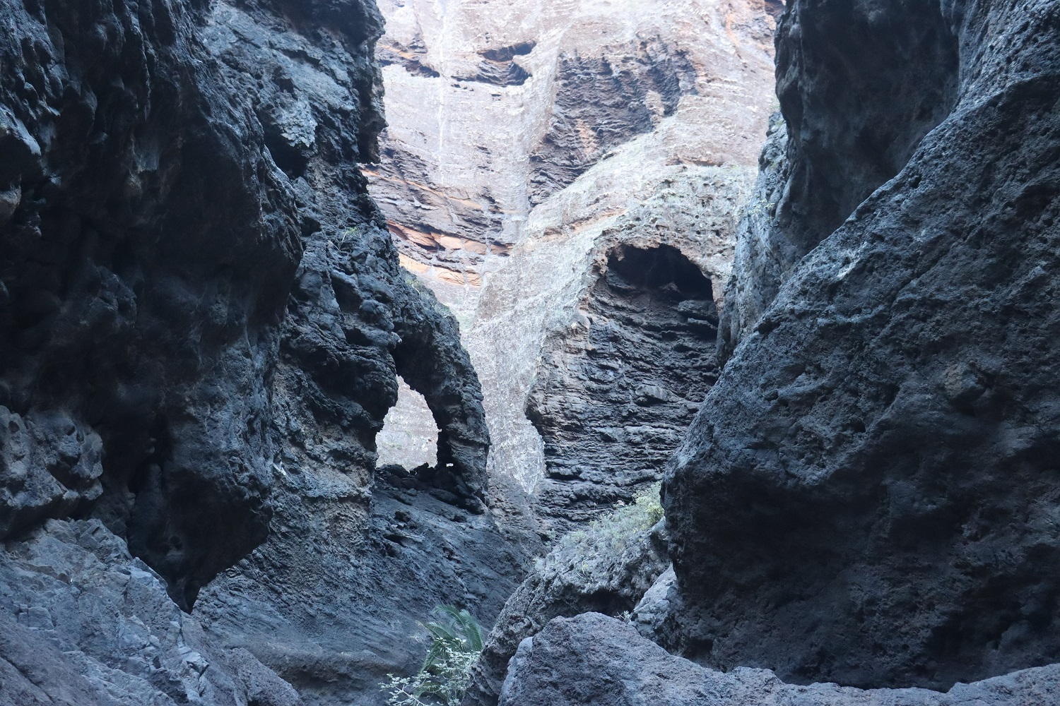 Tenerife: Túra kaňonom Masca (Masca Trail)