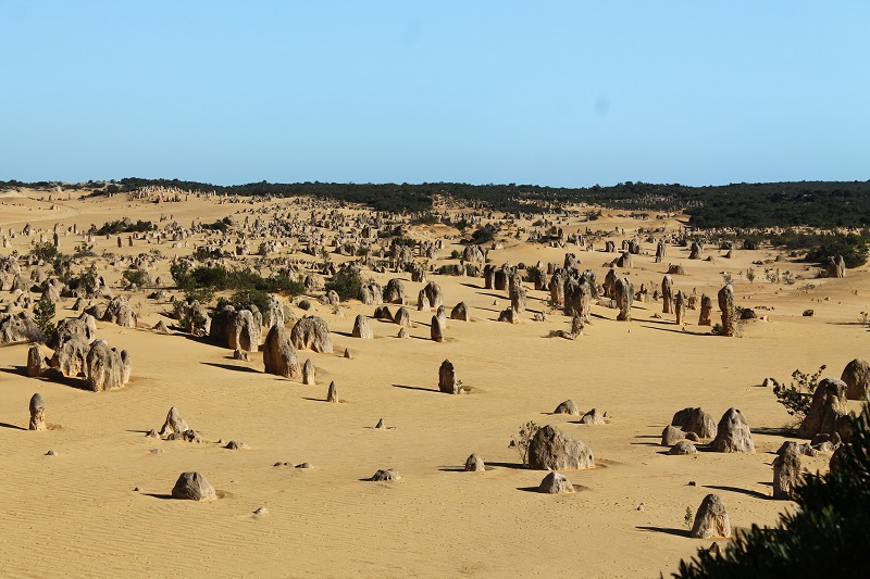 V Austrálii natrafíte aj na rôzne zaujímavé útvary ako napríklad tieto - Pinnacles