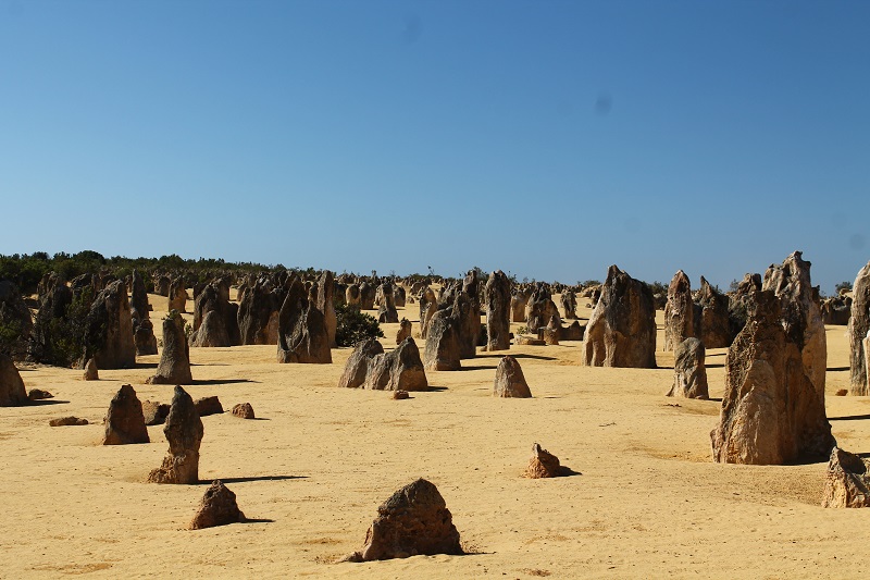 Pinnacles Desert