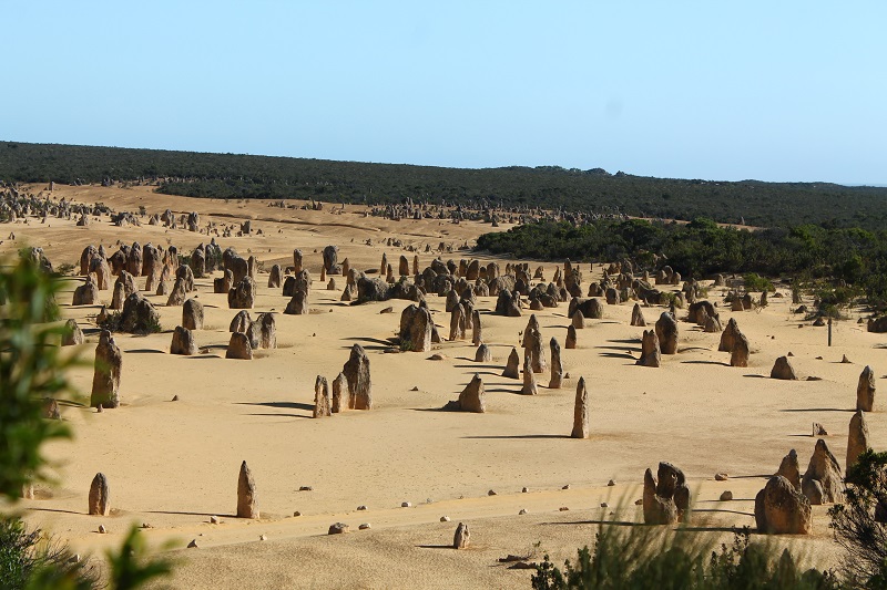 The Pinnacles Desert