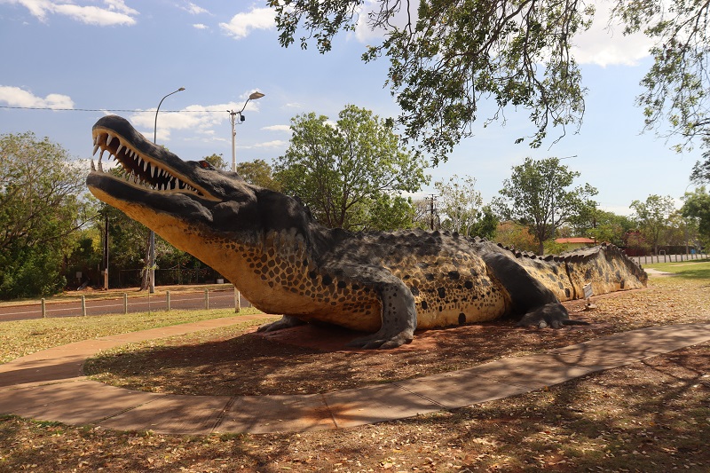Hlavná atrakcia vo Wyndhame – obrovský krokodíl