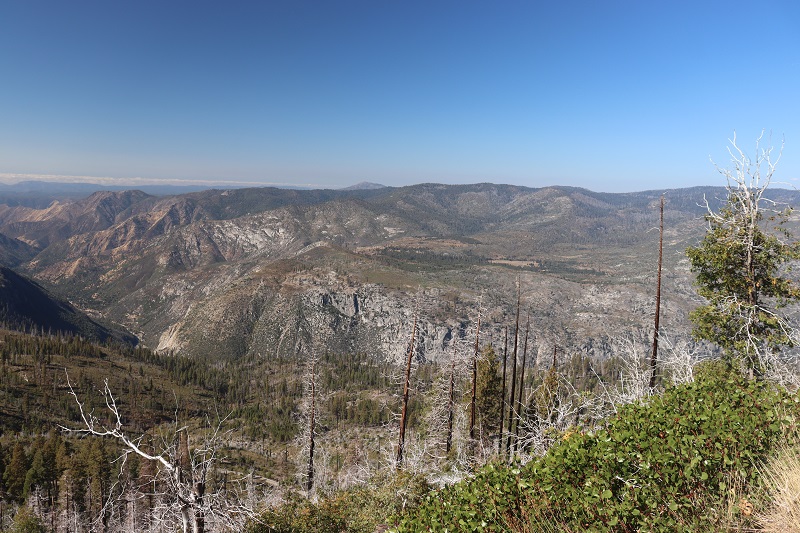 Cestou do Yosemite Valley