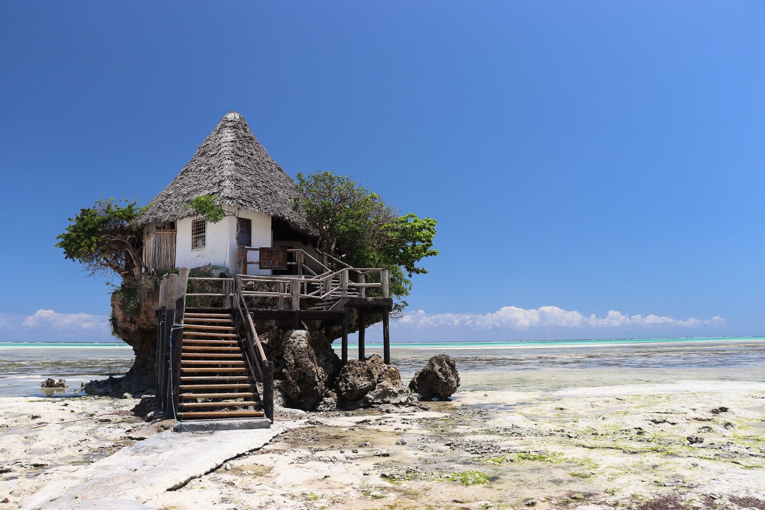 Zanzibar: Jozani Forest, Paje Beach a The Rock Restaurant