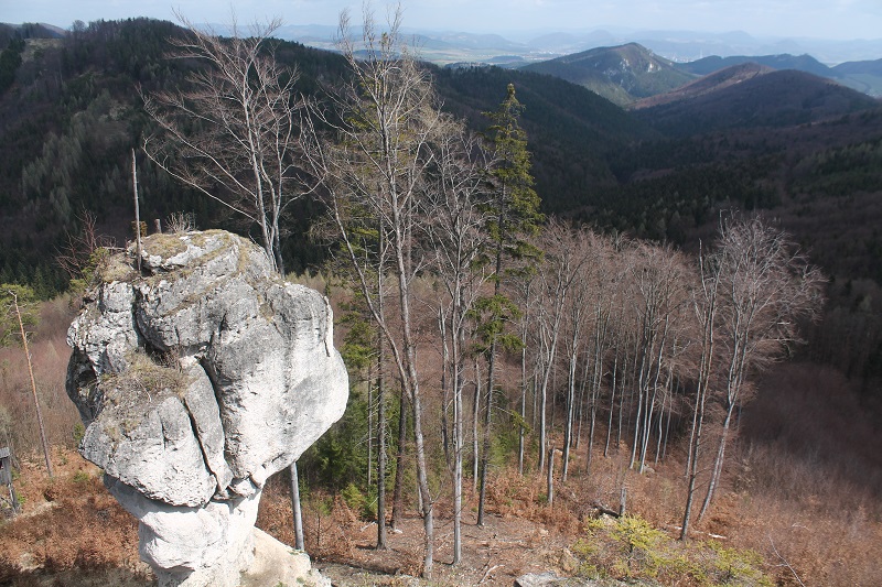 Pohľad na budzogáň zo skaly vedľa a výhľady v pozadí