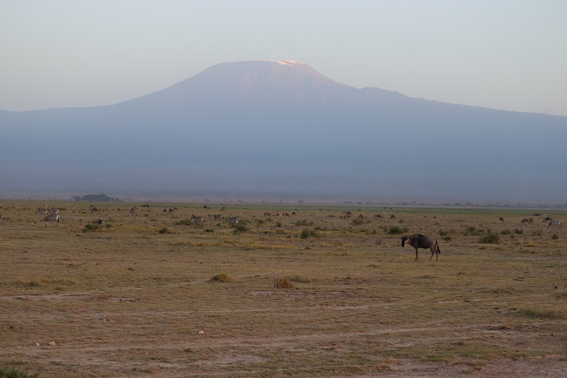 Kvôli týmto výhľadom na Kilimandžáro sa oplatí podstúpiť všetku tú byrokraciu 